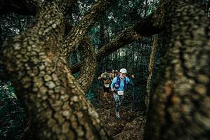 BIB: 
                            <button type="button" onclick="openModal(25698070)" class="btn btn-primary btn-sm float-right btn-popup" data-toggle="modal" data-target=".modal-high-quality">
                        <i class="fas fa-shopping-cart"></i> Add to Cart
                    </button>
                                            <button type="button" onclick="isThisMe(25698070, true)" class="btn btn-success btn-sm float-right btn-popup btn-isme hidden" data-toggle="tooltip" data-placement="bottom" title="นี่คือรูปของคุณใช่ไหม คลิกที่นี่เพื่อเอาเข้าอัลบั้ม">
                        <i class="fas fa-plus"></i> Add to album
                    </button>
                    <button type="button" onclick="isThisMe(25698070, false)" class="btn btn-warning btn-sm float-right btn-popup btn-isnotme hidden">
                        <i class="fas fa-ban"></i> Remove from album
                    </button>